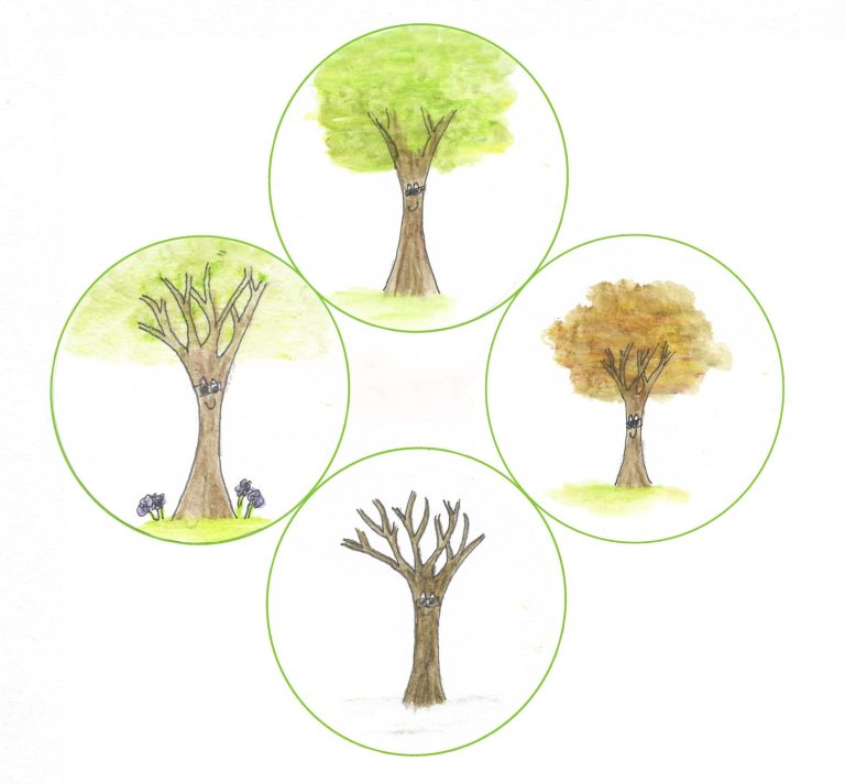 The Seasons